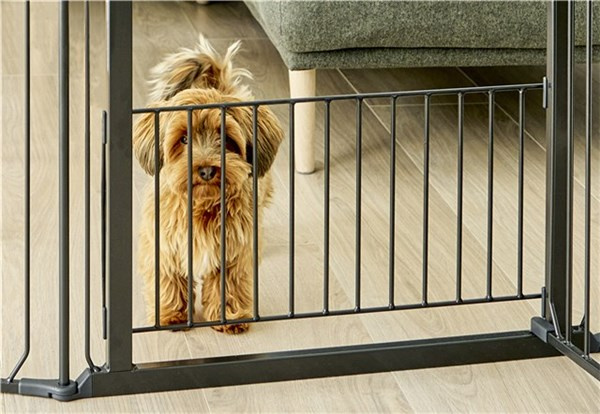 Bezpieczna konstrukcja dla szczeniąt – DogSpace