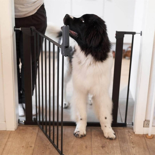 DogSpace - Lassie – rozporowa bramka dla psa, czarna (73.5-79.6cm)